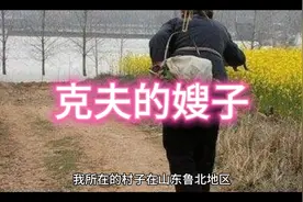 大哥去世后，二哥娶了大嫂，三年后，二哥也死了，我却不能娶大嫂视频封面