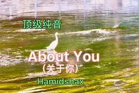（顶级纯音）Hamidshax的（关于你）优美、清澈、缥渺、扣人心弦