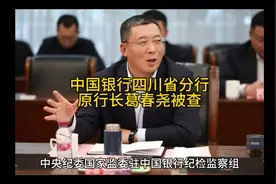 中国银行四川省分行原行长葛春尧被?视频封面