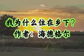 海德格尔：我为什么住在乡下？视频封面