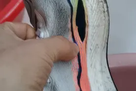 得物骗人。