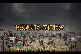 中国政府为缓解加沙地带的人道主义危机，援助加沙五亿物资。视频封面