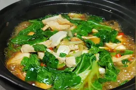 小白菜焖豆腐，我家最喜欢吃的下饭菜，成本不到5块钱，营养下饭视频封面
