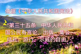 宪法保障的公民自由，如言论、出版、集会、结社、游行、示威。视频封面
