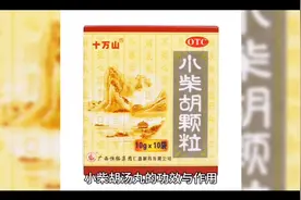 小柴胡汤丸的功效与作用视频封面