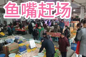 重庆江北区.鱼嘴镇赶场，物价也太便宜了吧！视频封面
