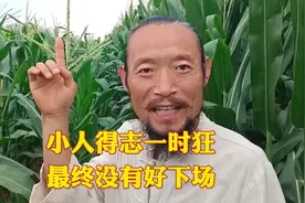 小人得志一时狂，最终没有好下场视频封面