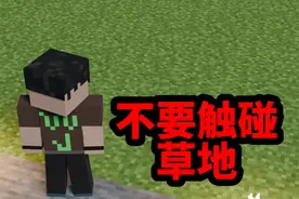 我的世界草地怪谈：请不要触碰到草地