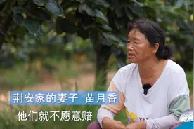 暗访调查：陕西一煤矿采煤致果园沉陷！农户心血全泡汤视频封面