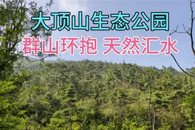 大顶山生态公园，群山环抱，天然汇水视频封面