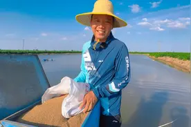气温达到30度以上，就不死鱼了！抓住这个时机，多喂食把鱼养大！视频封面