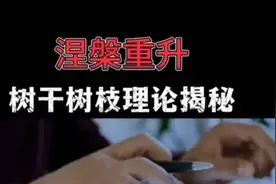 涅槃重升树式心法解析#游资心法  #游资语录  #短线 #交易视频封面