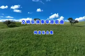 交响乐演奏经典草原歌曲 天籁之音 深入人心 百听不厌 收藏起来听视频封面