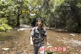 想吃肉了，来大山里钓了两斤溪石斑鱼，油炸后香酥可口真下酒视频封面