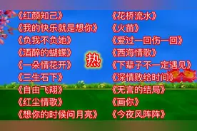 好听的十八首催泪伤感DJ情歌《红颜知己》《火苗》《酒醉的蝴蝶》