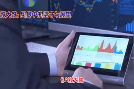 《2024年10月9日，A股大跌引发市场思考》