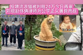 判流浪猫投喂者赔24万今日再审刘琨赵伟俩律师为公平正义善良而战