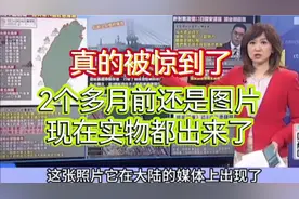 湾媒：真的被惊到了！太快了！最震撼的是它的用途#特种登陆驳船视频封面