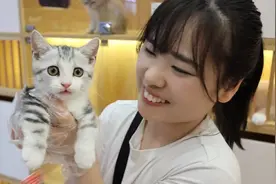我花了1100元买了一只小猫，大家觉得值吗？ #猫咪vlog #情侣日常视频封面