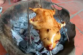 烧烤小竹鼠 吃起来嘎嘎香视频封面