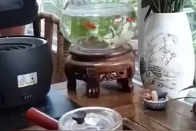 柴桑:有关部门的蜀黍也说“病历为什么要改成这样？……”视频封面