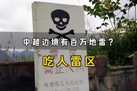 中越边境的数百万地雷，究竟是怎么排除的？视频封面