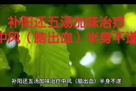 补阳还五汤加味治疗中风（脑出血）半身不遂视频封面