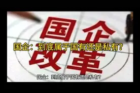 国企：到底属于国有还是私有？视频封面