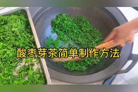 农村酸枣芽茶简单制作方法，经火炒制清香扑鼻，野生酸枣芽茶。视频封面