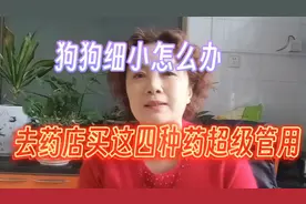 狗狗细小不要怕，去药店买这几种药省钱又管用视频封面