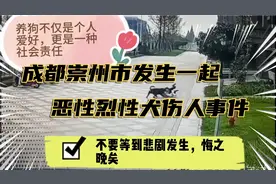 成都崇州市发生一起恶性烈性犬伤人事件视频封面