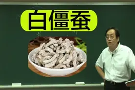 倪海厦讲本草：白僵蚕视频封面