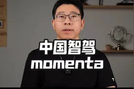 中国智驾解决方案商：momenta视频封面