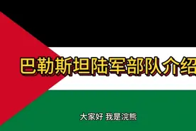 巴勒斯坦部队的介绍视频封面