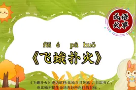 “飞蛾扑火”成语故事，生动诠释了生命的执着与追求。视频封面