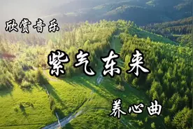 《紫气东来》养心曲，享受音乐与大自然的和谐。视频封面