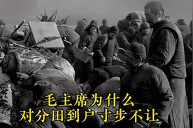 毛主席为什么对分田到户寸步不让视频封面
