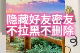 你知道什么是这个微信密友模式插件？什么是微信隐藏好友吗