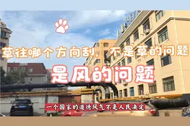 一个国家得道德风气不是人民决定，是上层精英起风向作用视频封面