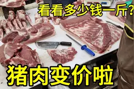 辽宁猪肉又变价啦，7月16日大家看看多少钱一斤？大家感觉便宜吗视频封面