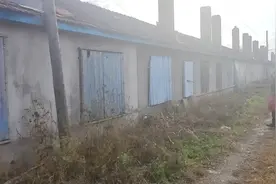 小镇上的小平房，，房子小，菜园不大，0.5。视频封面