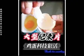 欧盟通报进口鸡蛋不合格，现在连鸡蛋都不能放心吃了吗？视频封面
