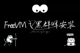 FreeVM之黑群晖安装