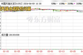 百亿级公司天瑞水泥闪崩跌超99%视频封面
