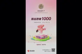 千粉总结与粉友共勉！视频封面