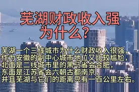 芜湖财政收入强，凭什么？视频封面
