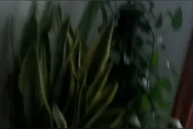 超級憋氣挑戰。你敢嘗試嗎？（整整6分鐘。）视频封面