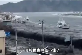 日本海岸出现千吨死鱼潮，排放核污水的危害已经出现？ #财经视频封面