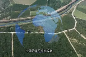 中国的油价为什么这么高？视频封面