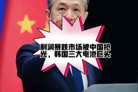 利润暴跌市场被中国抢光，韩国三大电池巨头崩了视频封面